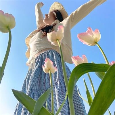 泼妇碧安卡