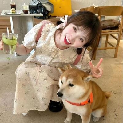 金山上的树叶